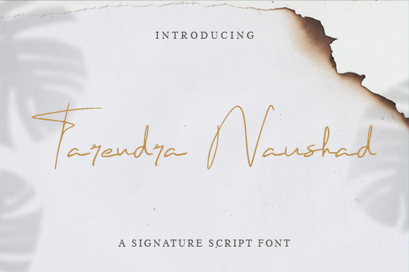 Elevating Brand Identity with Tarendra Naushad: A Designer’s Review