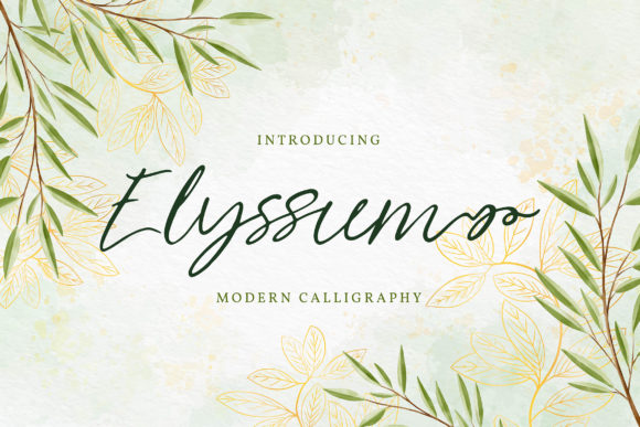 Elyssum Font: How a Simple Typeface Upgrade Transformed Our Brand
