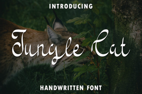 Jungle Cat: The Handwritten Font That Makes Campaigns Stand Out