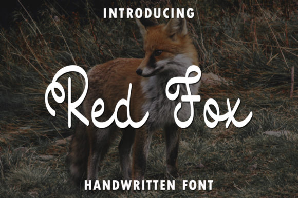 Red Fox: A Handwritten Font That Brings Personality to Campaign Visuals