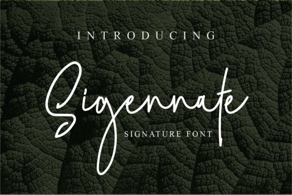 Sigennate: A Refined Script Font for Elegant Web Design
