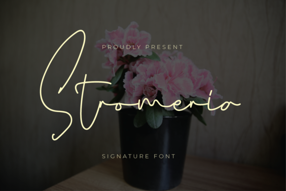 Stromeria: A Dainty Script Font for Elegant Web Design
